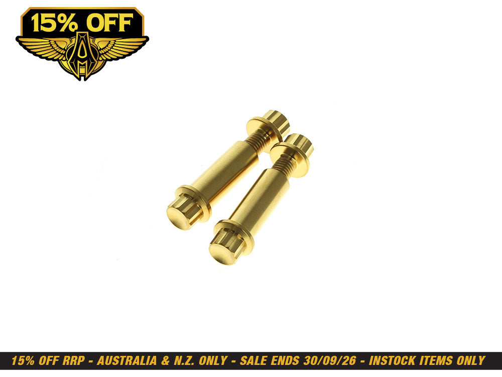 Titanium 12-Point Footpeg Mounting Hardware - Gold. Fits H-D Male Mount Footpegs