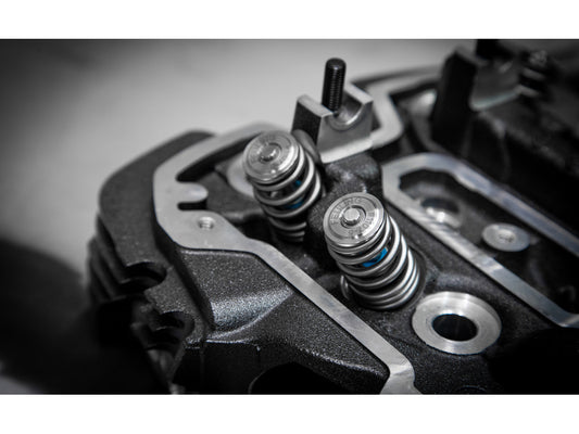 0.565in. Lift Endurance Valve Spring Kit. Fits Milwaukee-Eight 2017up.