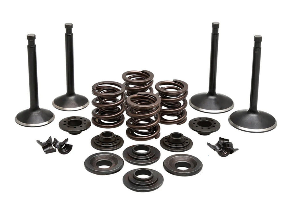 Valve & Spring Engine Kit. Fits Sportster 1970-1983