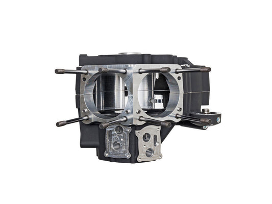 Crankcase Assembly - Black. Fits Touring 2017up