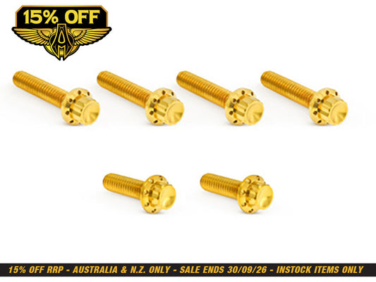 Titanium 12-Point Transmission Side Cover Bolt Kit - Gold. Fits Touring 2007-2023, Softail 2007-2024 & Dyna 2006-2017