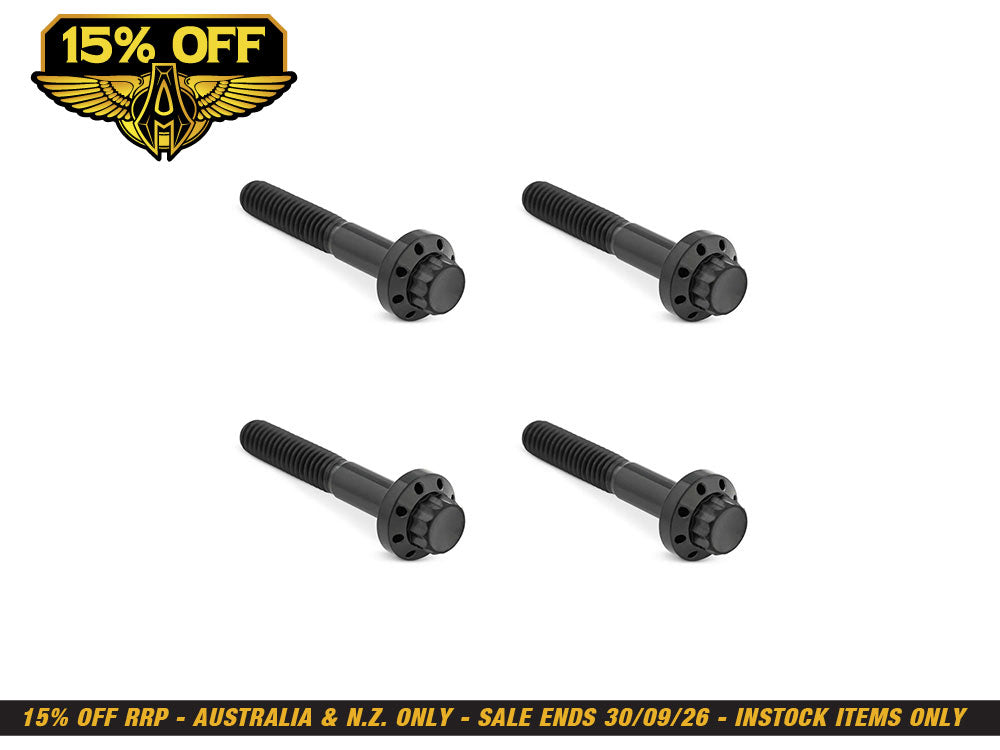 Titanium 12-Point Front Fender Mounting Hardware - Black. Fits Touring 2009up