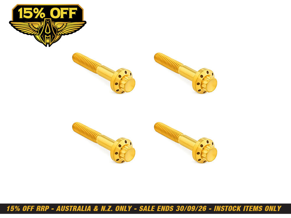Titanium 12-Point Front Fender Mounting Hardware - Gold. Fits Touring 2009up