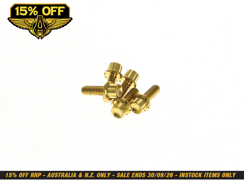 Titanium 12-Point Derby Cover Bolt Kit - Gold. Fits Softail 2018up
