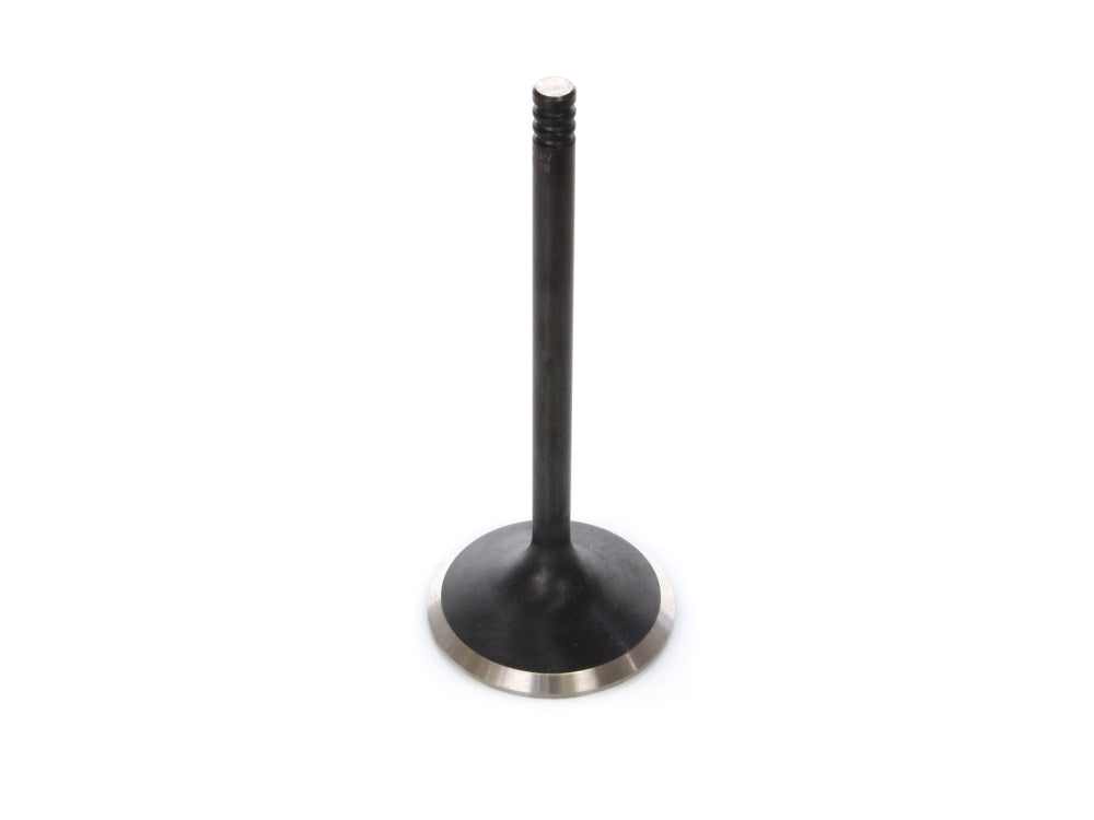 Intake Valve. Fits 1200cc Sportster 2004-2021. OEM Replacement.