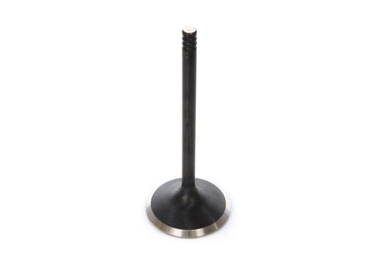 Intake Valve. Fits 1200cc Sportster 2004-2021. OEM Replacement.