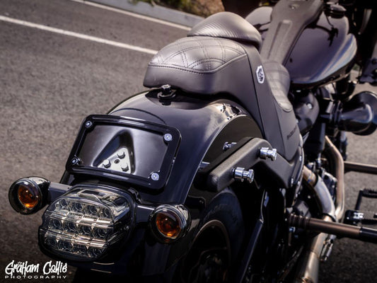 ProBEAM Low Profile LED Tailight. Smoke Lens & Number Plate Window. Fits Most 1999up Models
