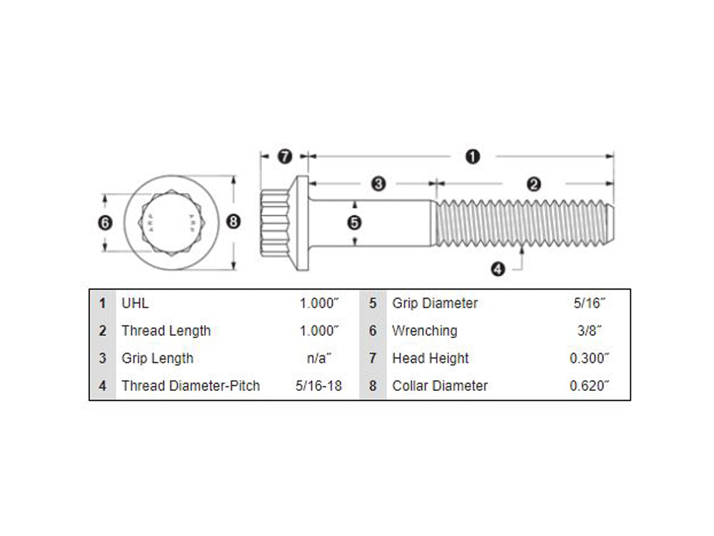Front Disc Rotor Bolts - Stainless 12 Point ARP. 5/16in.-18 x 1.0in.. Fits Most HD models 1984up.