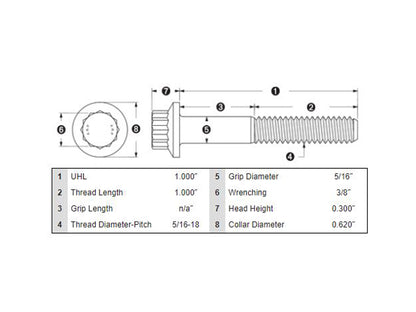 Front Disc Rotor Bolts - Stainless 12 Point ARP. 5/16in.-18 x 1.0in.. Fits Most HD models 1984up.