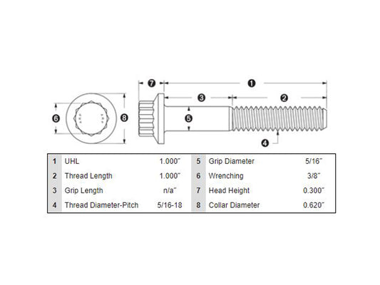 Front Disc Rotor Bolts - Stainless 12 Point ARP. 5/16in.-18 x 1.0in.. Fits Most HD models 1984up.
