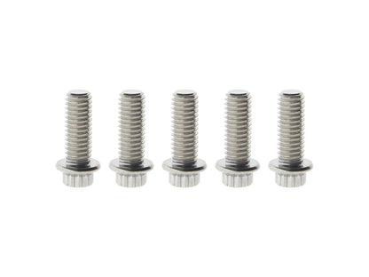 Rear Disc Rotor Bolts - Stainless 12 Point ARP. Fits H-D Big Twin 1997up & Sportster 1997-2021