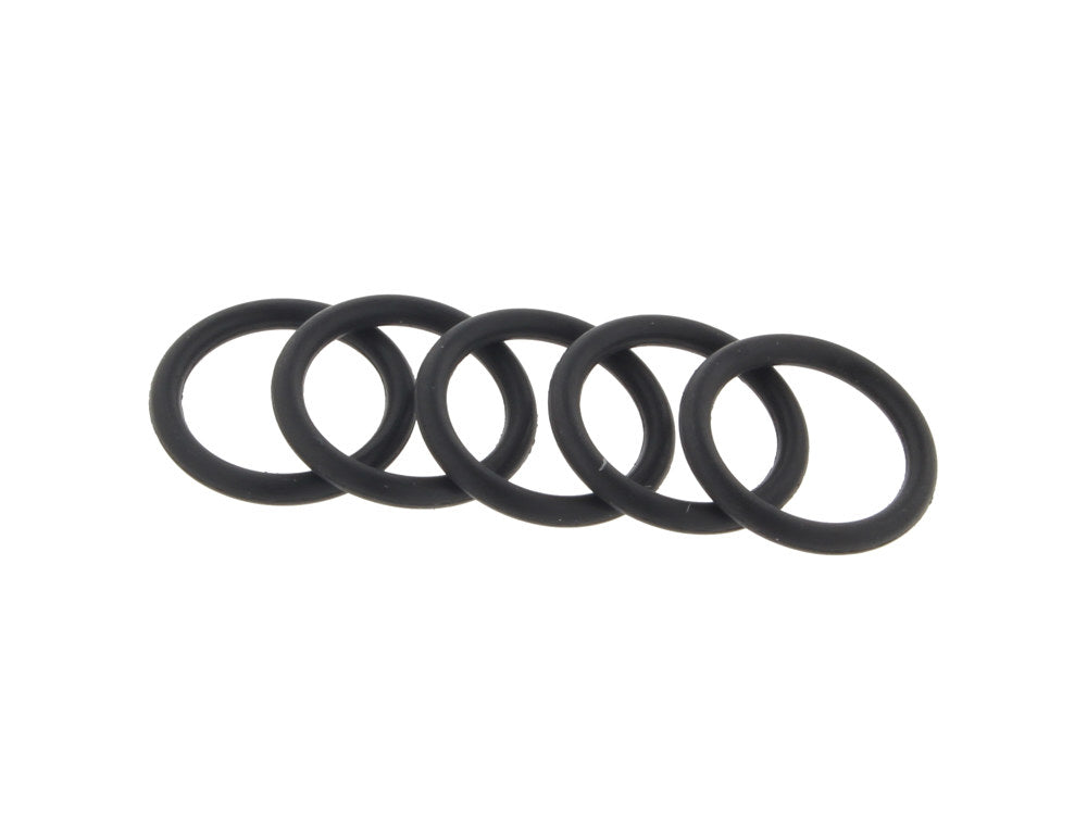 EFI Check Valve Lower O-Ring - Pack 5.