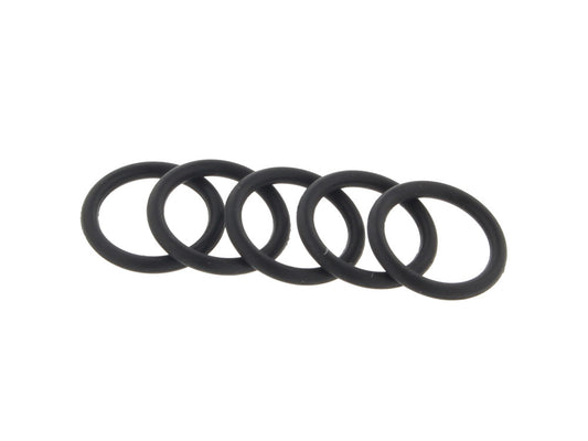 EFI Check Valve Lower O-Ring - Pack 5.
