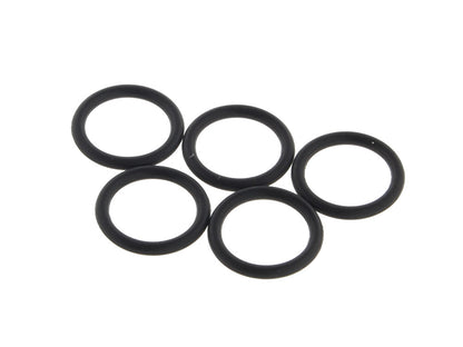 EFI Check Valve Lower O-Ring - Pack 5.