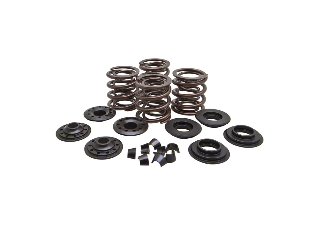 Valve Spring Kit. Fits Big Twin 1966-1977. .600in. Lift