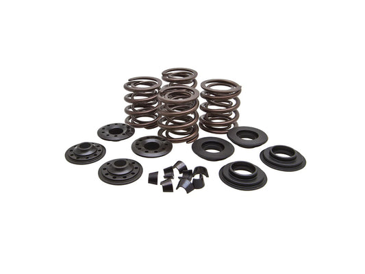 Valve Spring Kit. Fits Big Twin 1966-1977. .600in. Lift