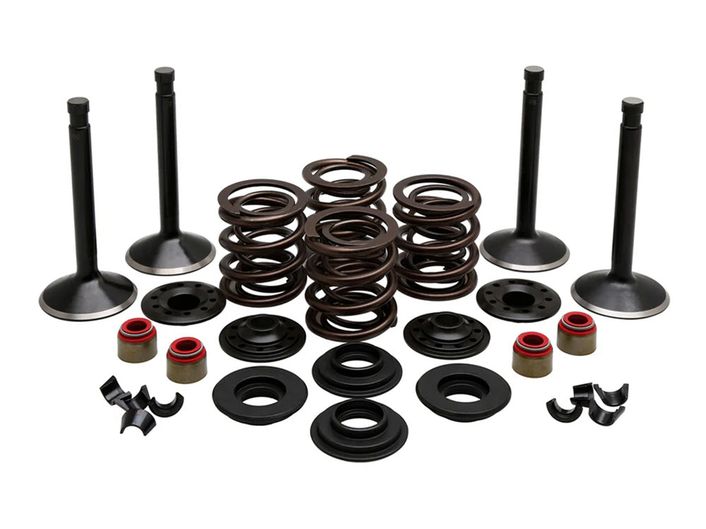 Valve & Spring Engine Kit. Fits Panhead Big Twin 1948-1965
