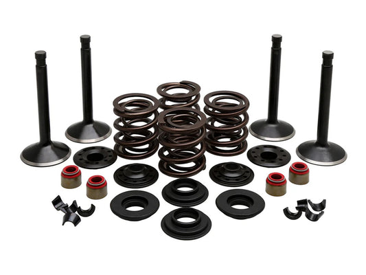 Valve & Spring Engine Kit. Fits Panhead Big Twin 1948-1965