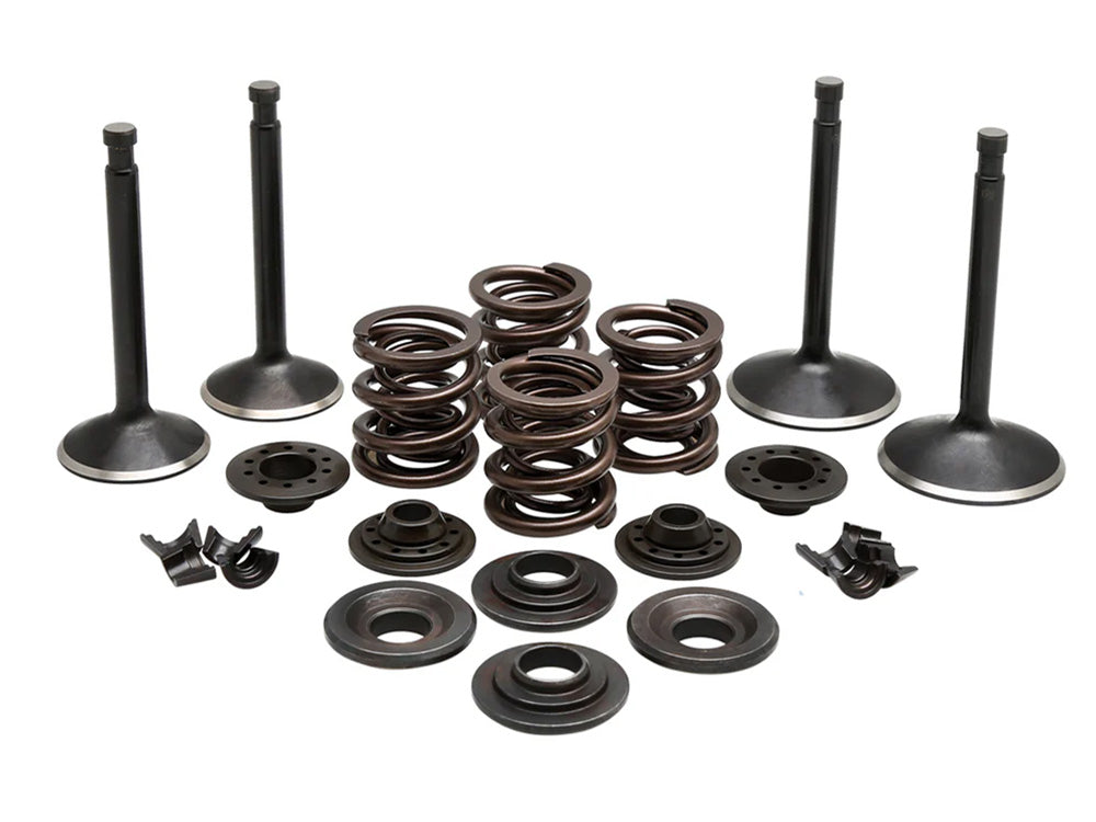 Valve & Spring Engine Kit. Fits Sportster 1957-1969