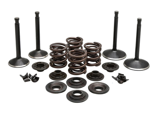 Valve & Spring Engine Kit. Fits Sportster 1957-1969