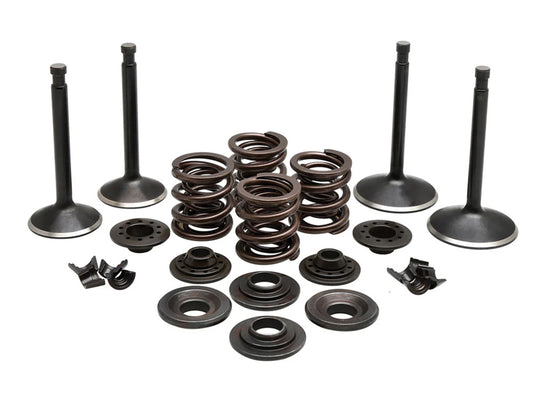 Valve & Spring Engine Kit. Fits Sportster 1970-1983