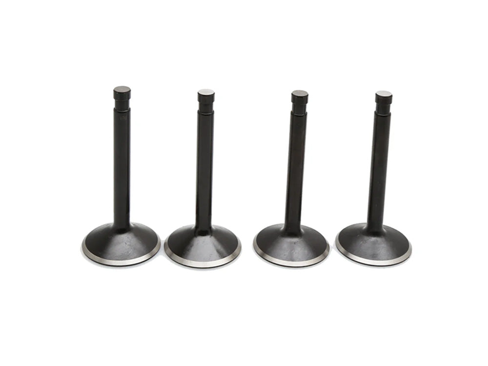 Valve Kit. Fits Big Twin 1966-1984