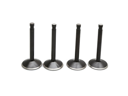 Valve Kit. Fits Big Twin 1966-1984