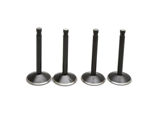 Valve Kit. Fits Big Twin 1966-1984
