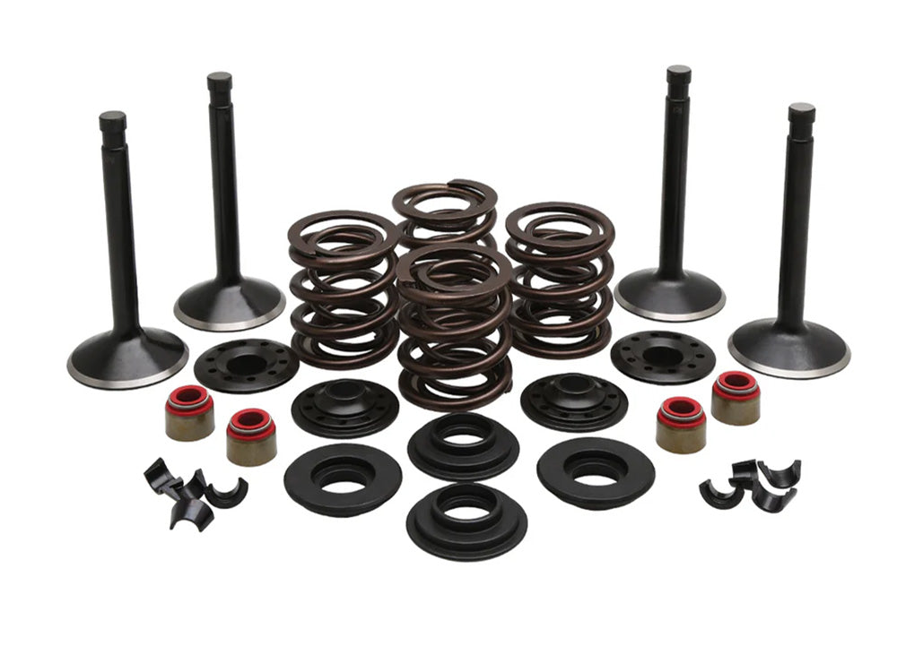 Valve & Spring Engine Kit. Fits 1200cc Big Twin 1966-1977