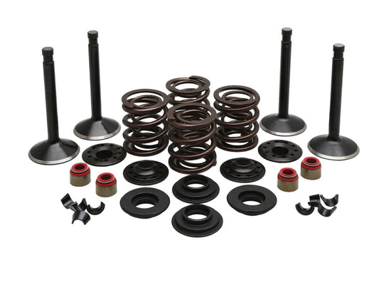 Valve & Spring Engine Kit. Fits 1200cc Big Twin 1966-1977