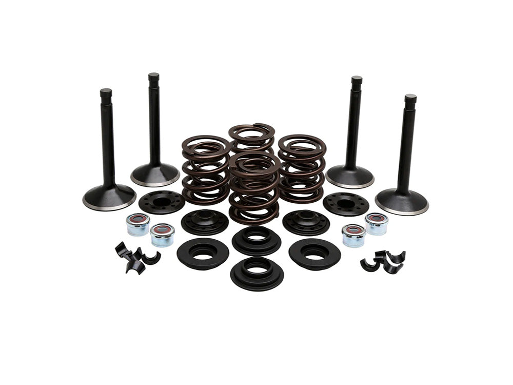 Valve & Spring Engine Kit. Fits 80ci Big Twin 1978-1984