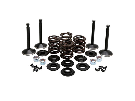 Valve & Spring Engine Kit. Fits 80ci Big Twin 1978-1984