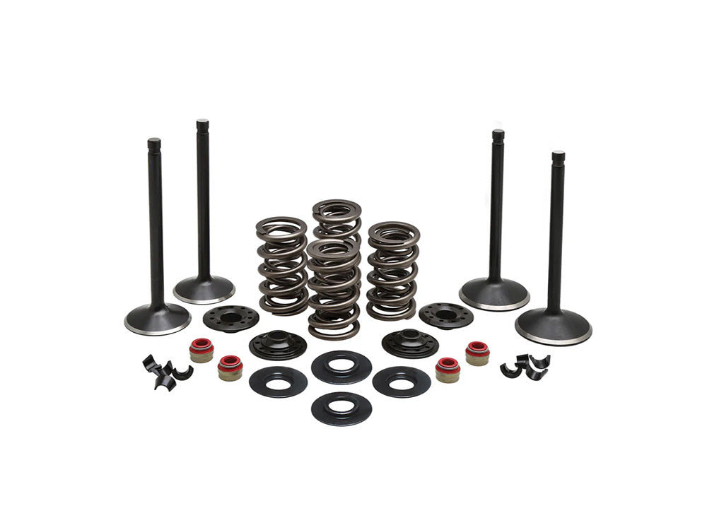 Valve & Spring Engine Kit. Fits Evolution Big Twin 1984-1999