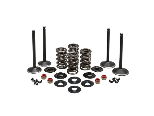 Valve & Spring Engine Kit. Fits Evolution Big Twin 1984-1999