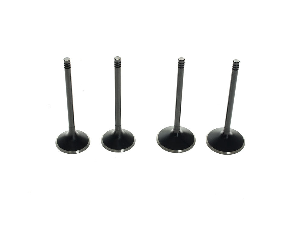 Valve Kit. Fits 1200cc Sportster 2004-2021