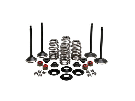 Valve & Spring Engine Kit. Fits 1200cc Sportster 2004-2021