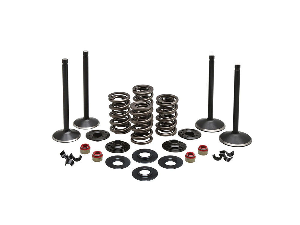 Valve & Spring Engine Kit. Fits Twin Cam 1999-2004