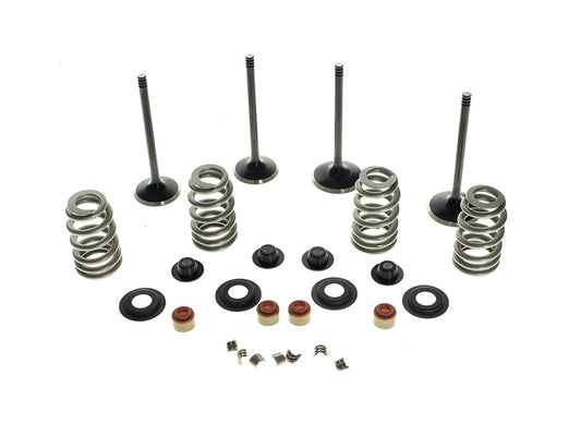 Valve & Spring Engine Kit. Fits Twin Cam 2005-2017