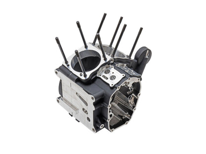 Crankcase Assembly - Black. Fits Touring 2017up