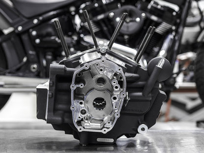 Crankcase Assembly - Black. Fits Softail 2018up