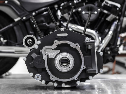 Crankcase Assembly - Black. Fits Softail 2018up