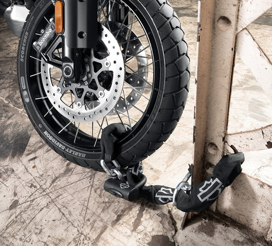 Harley-Davidson Loop Chain and Disc Brake & Rotor Lock